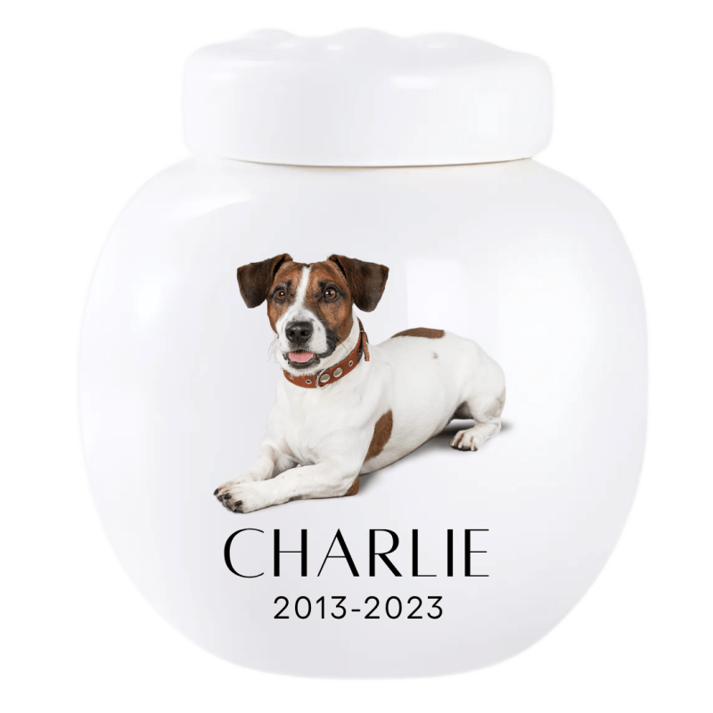Custom Ceramic Dog Urn with Photo – Personalised Pet Cremation Urn for Ashes with Name & Dates
