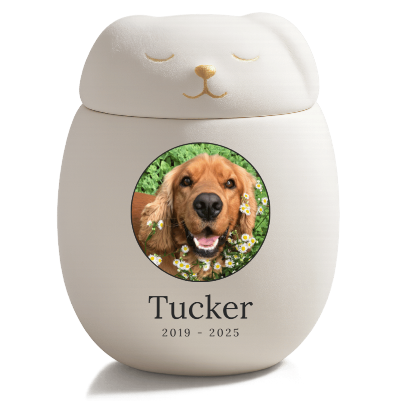 Personalised Ceramic Dog Urn with Sleeping Pet Lid – Pet Cremation Urn for Ashes with Dog's Photo, Name & Dates in a Heartfelt H