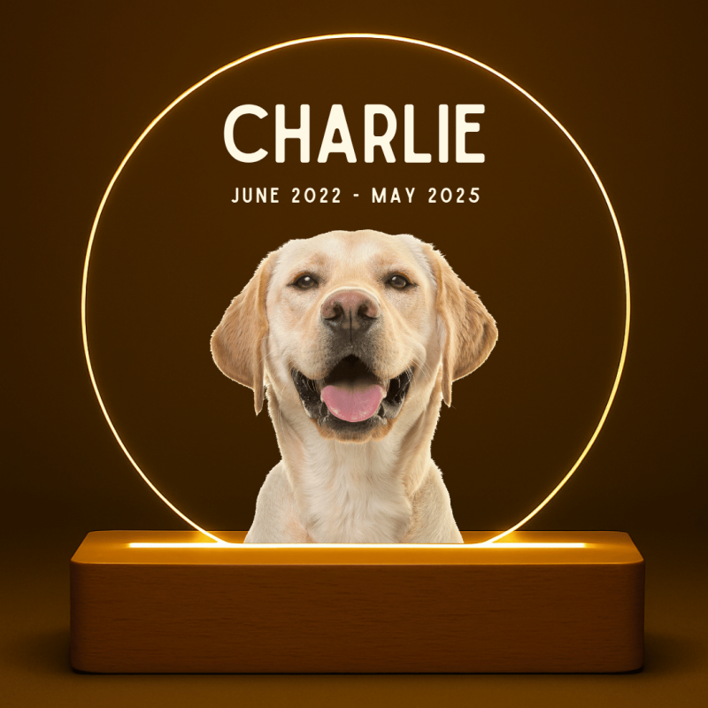 Personalised Dog Memorial Light with Photo – Round LED Pet Tribute Lamp with Engraved Name & Dates on Acrylic Plaque