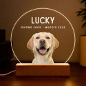 Regalo Ricordo per Cane Personalizzato con Foto – Lampada LED con Nome e Date Incisi su Lastra in Acrilico Rotonda