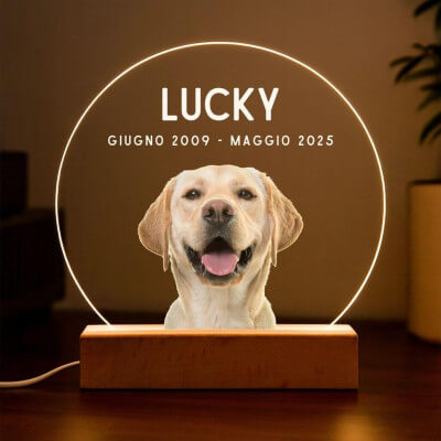 Regalo Ricordo per Cane Personalizzato con Foto...