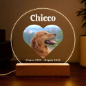 Regalo Ricordo per Cane Personalizzato con Foto a Cuore – Lampada LED con Nome e Date Incisi su Lastra in Acrilico Rotonda