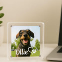 Cornice Personalizzata, Regalo Ricordo per Cane in Acrilico con Foto, Nome e Motivo Cuore con Zampa
