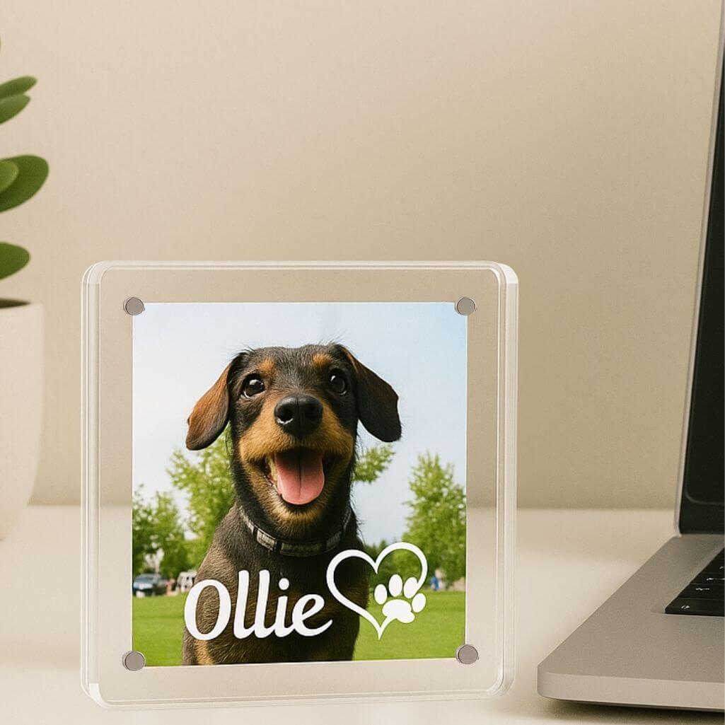 Cornice Personalizzata, Regalo Ricordo per Cane in Acrilico con Foto, Nome e Motivo Cuore con Zampa