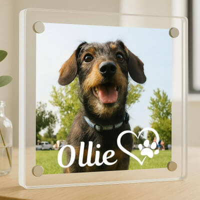 Cornice Personalizzata, Regalo Ricordo per Cane...