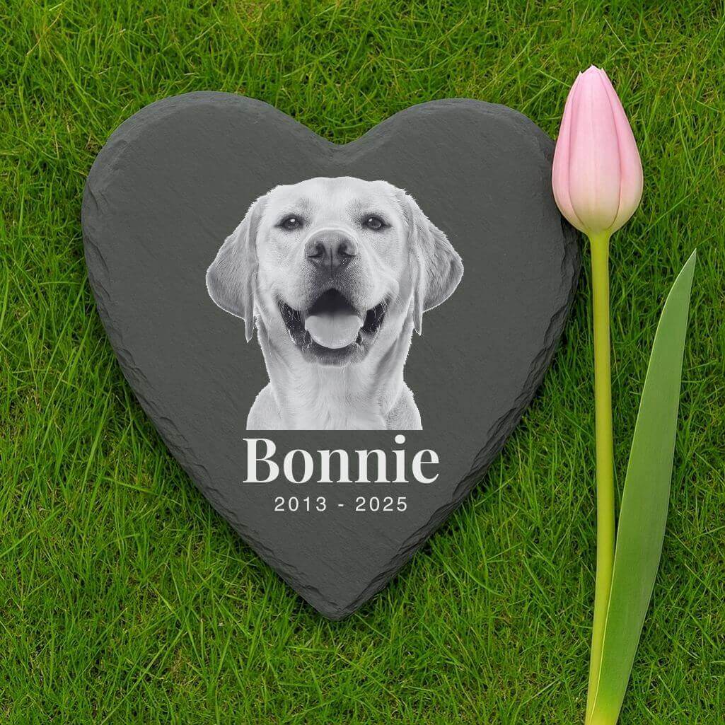 Lapide Personalizzata a Forma di Cuore con Foto, Regali Ricordo per Cani in Ardesia con Nome e Date